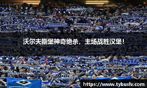 沃尔夫斯堡神奇绝杀，主场战胜汉堡！